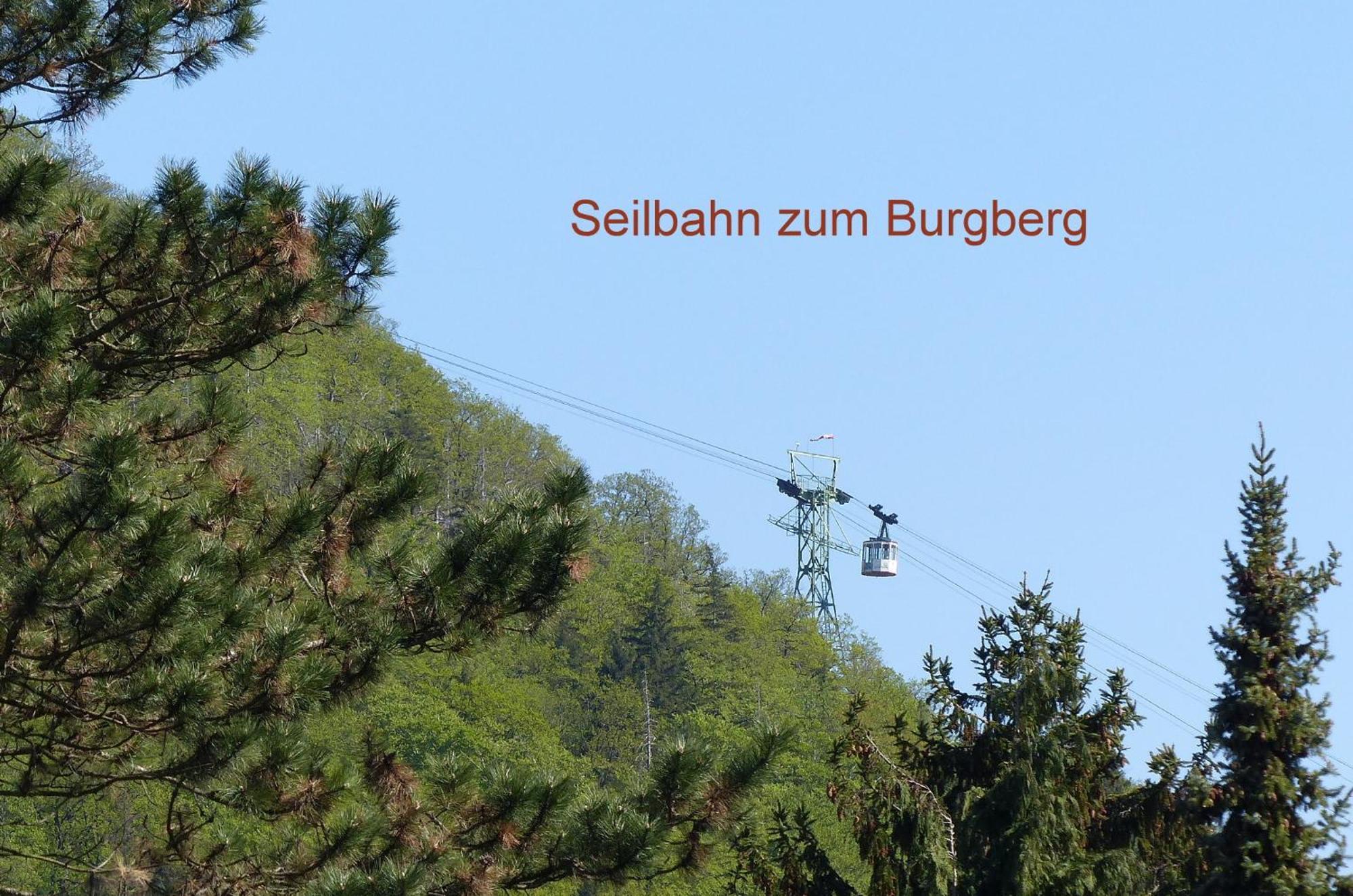 Fewo Parkblick Mit 2 Baedern Bad Harzburg Exterior foto
