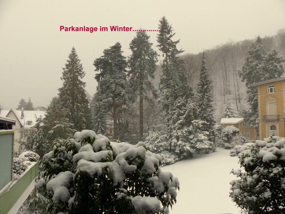 Fewo Parkblick Mit 2 Baedern Bad Harzburg Exterior foto
